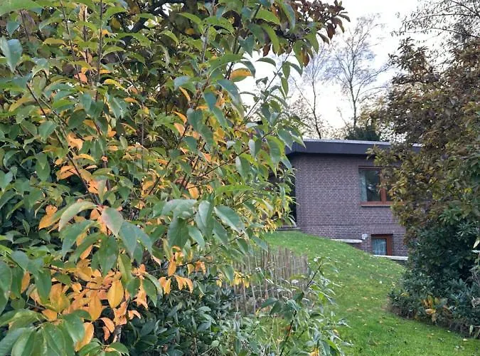 Ferien Ind Monteur Maigloeckchen Mit 2 Schlafzimmern Appartement Wildeshausen